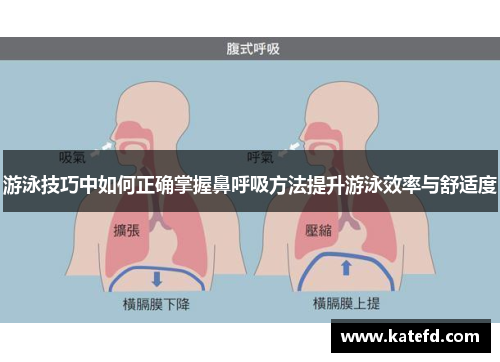 游泳技巧中如何正确掌握鼻呼吸方法提升游泳效率与舒适度