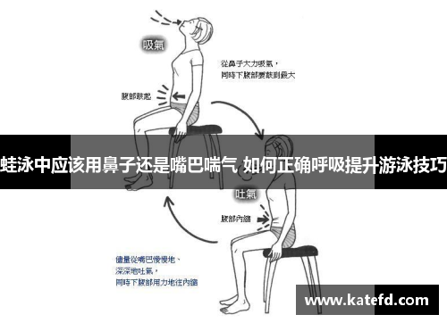 蛙泳中应该用鼻子还是嘴巴喘气 如何正确呼吸提升游泳技巧